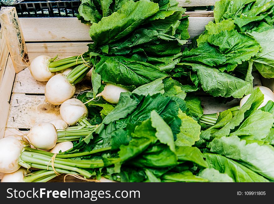 White Radishes