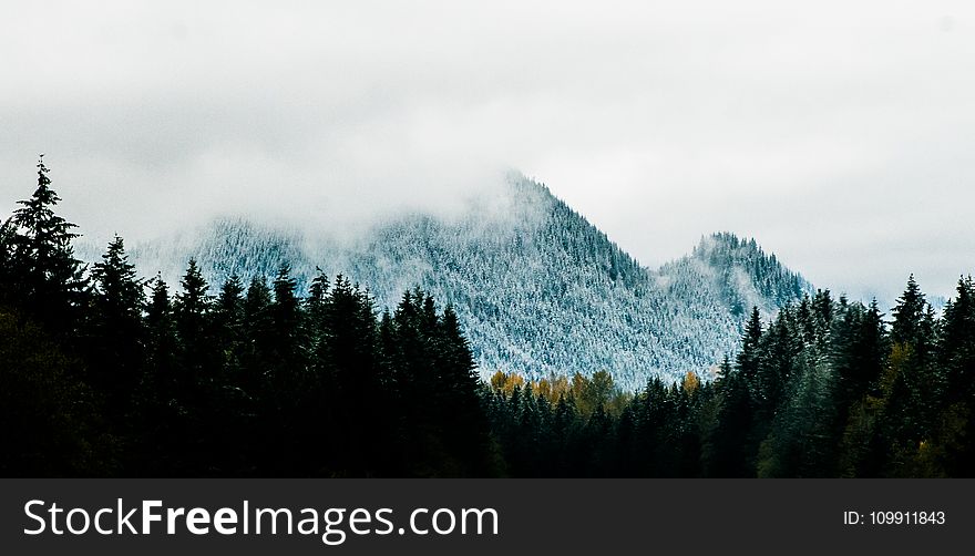 Mountain Alps Near Pine Trees