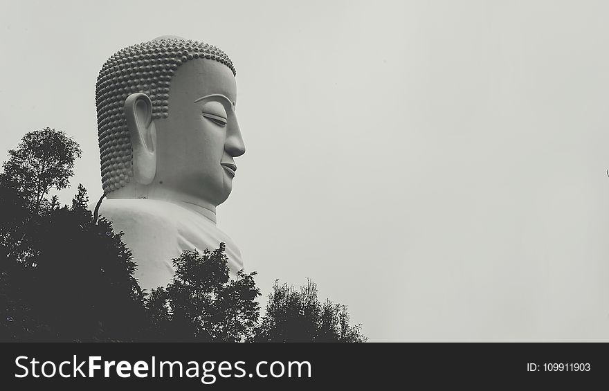 Buddha Statue Grayscale Photo