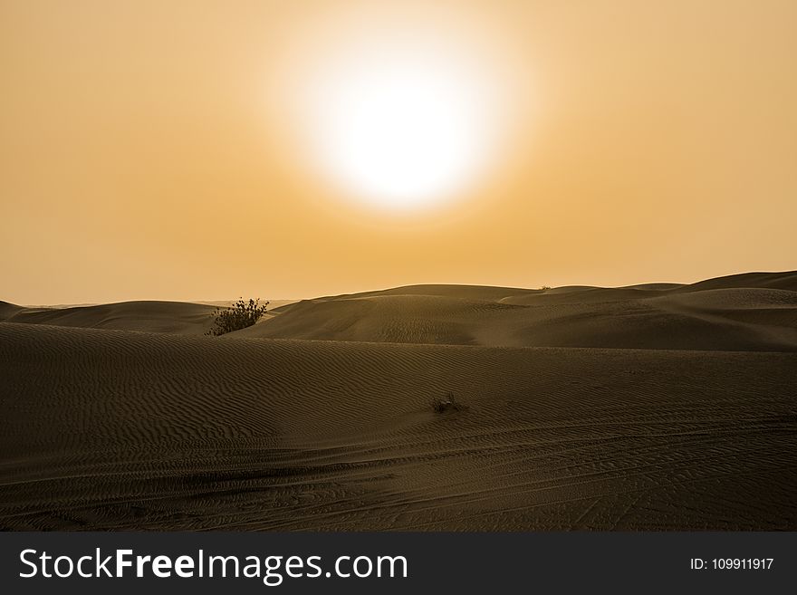 Desert Under Yellow Sunset