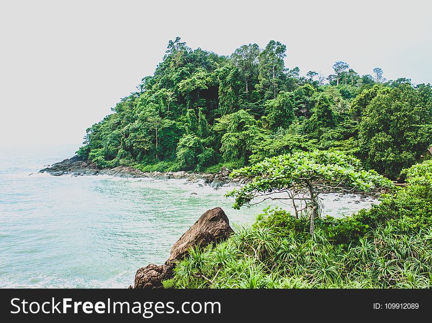 Landscape Photography of Mountain Beside Sea