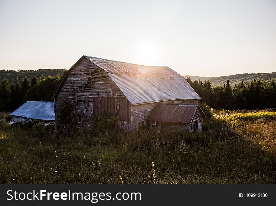 Barn Surrounded By Green Grasses