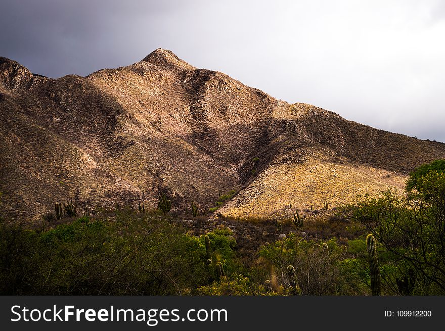 Photo Of Mountain Near Forest