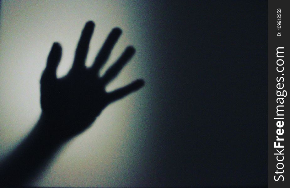 Silhouette Person&x27;s Hand