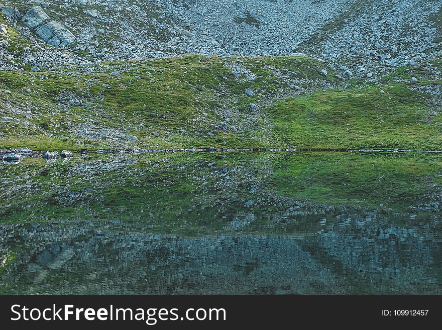 Green Grass Field Painting