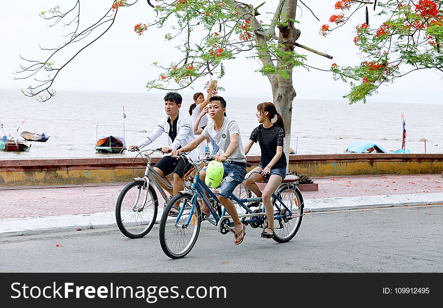 Two Boys and One Girl Riding Bicycles on Road Beside Body of Water