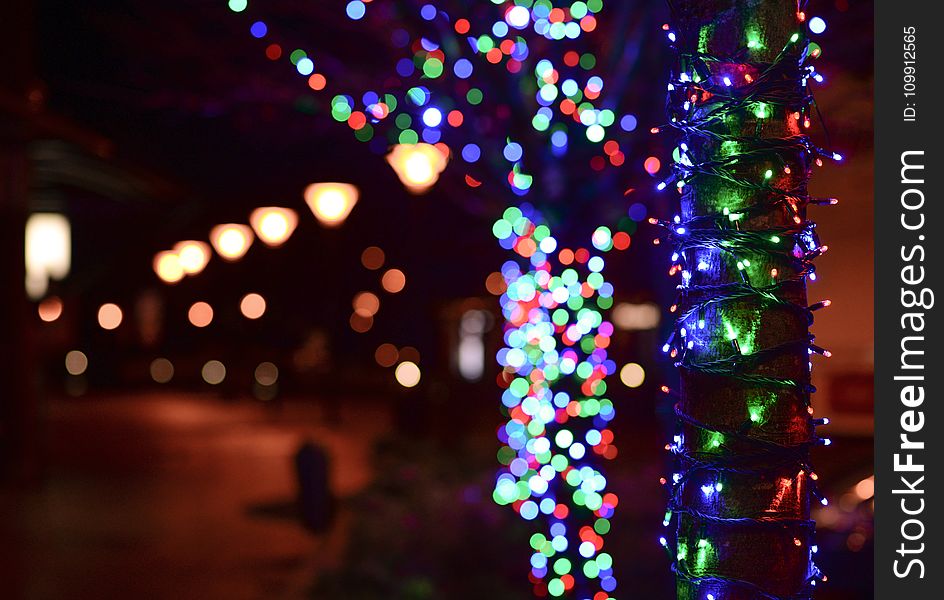 Illuminated Christmas Lights At Night