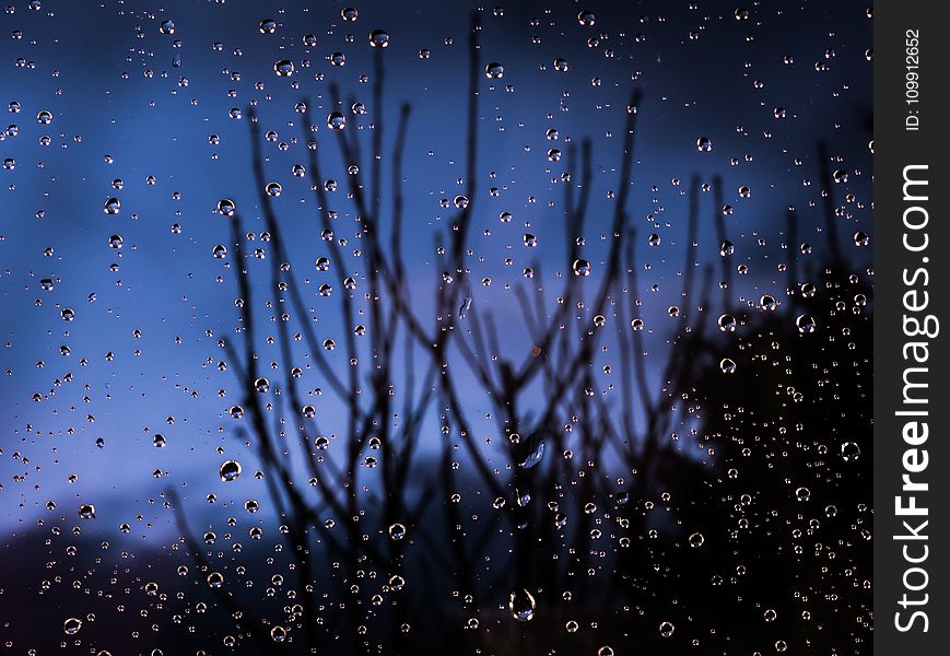 Macro Photography of Water Dew