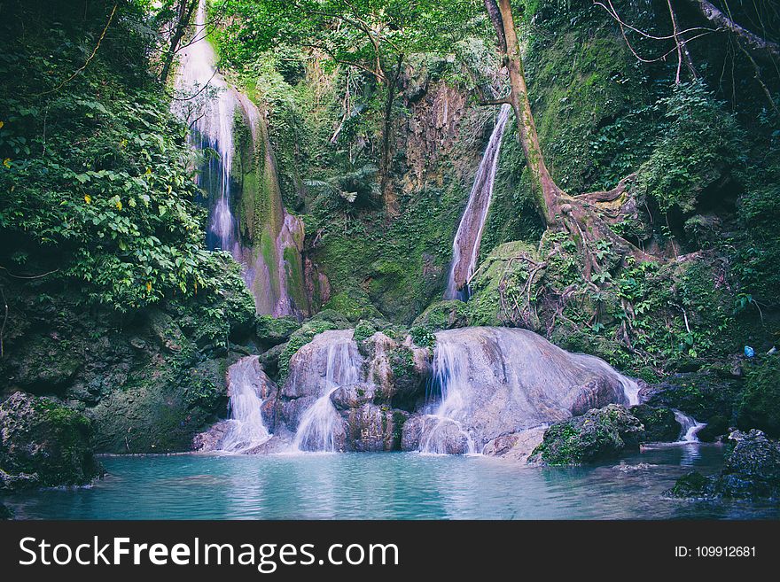 Water Falls in With Green Trees Photography
