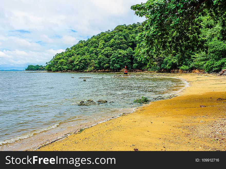 Beach Shoreline Photo