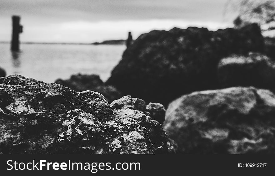 Grayscale and Selective Focus Photo of Sea Shore