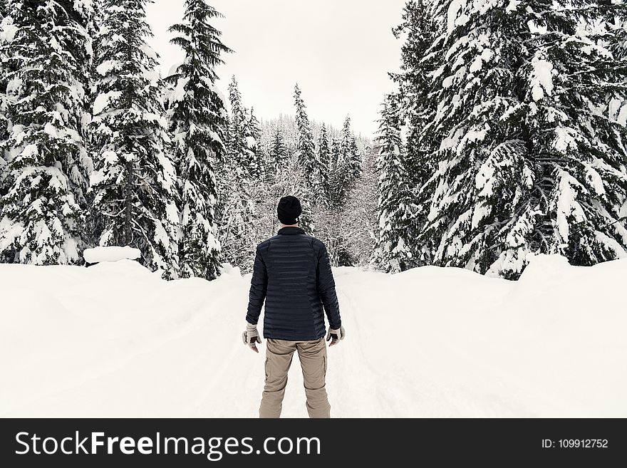 Photo of a Man in the Snowy Forest