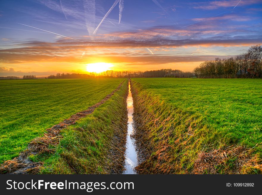 Scenic View of the Field