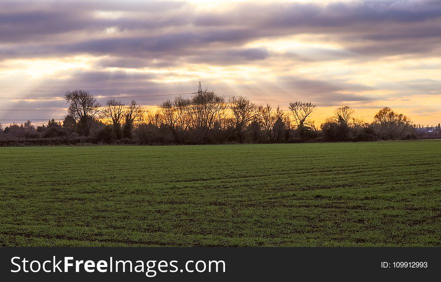 Scenic View of the Field