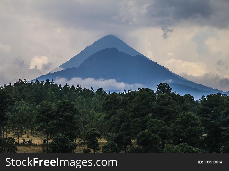 Silhouette of Mountain With Trees Photography