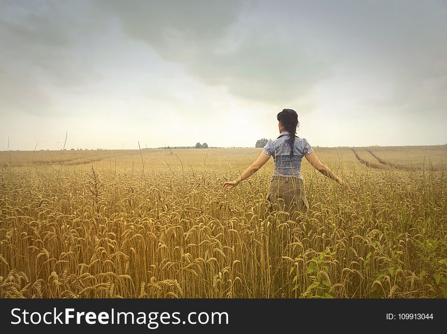 Woman Standing on Rice Field during Cloudy Day