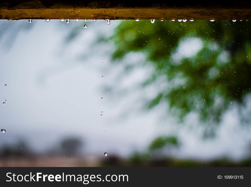 Photography of Rainy Weather With Trees