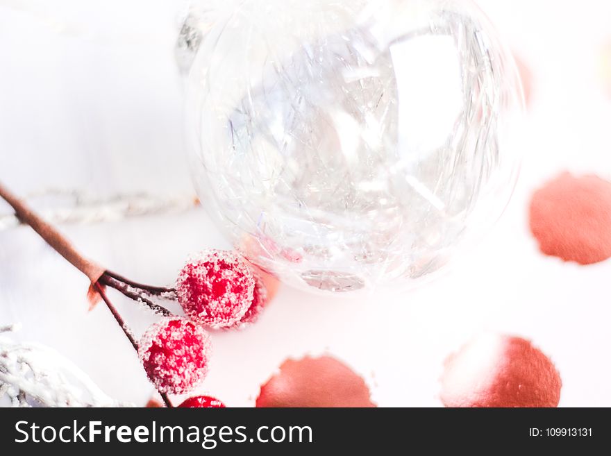 Selective Focus Photography Of Frost Covered Red Cherries