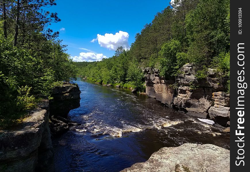 Green Leaf Trees Along River Under White Clouds And Blue Sky