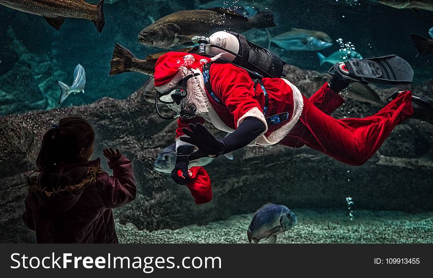 Man in Santa Claus Costume With Diving Gear Inside Aquarium