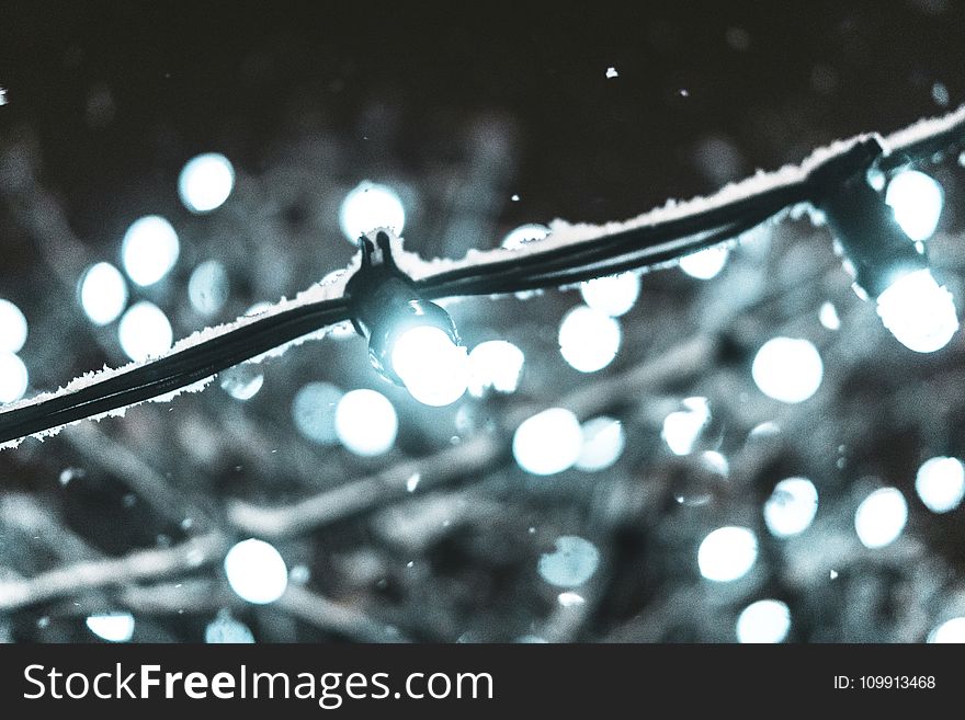 Shallow Focus Photography of Black String Light