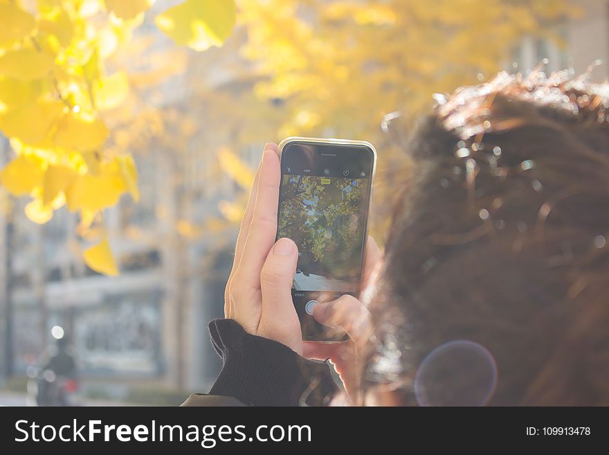 Man Wearing Black Jacket Using Iphone Taking Picture of Green Leaf Tree