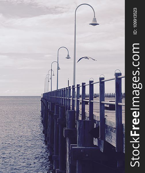 Image Of Docking Pier With White Seagull Flying