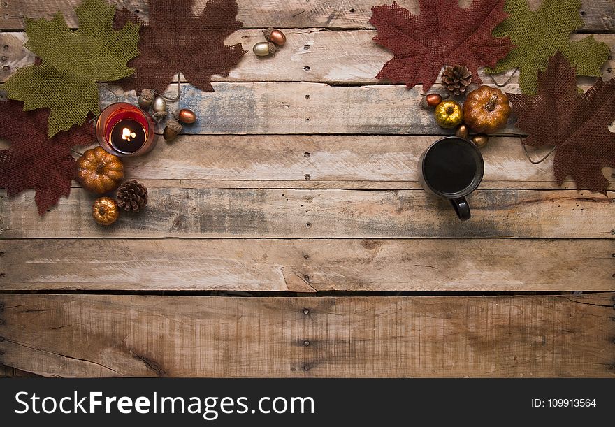 Acorns, Autumn, Decoration