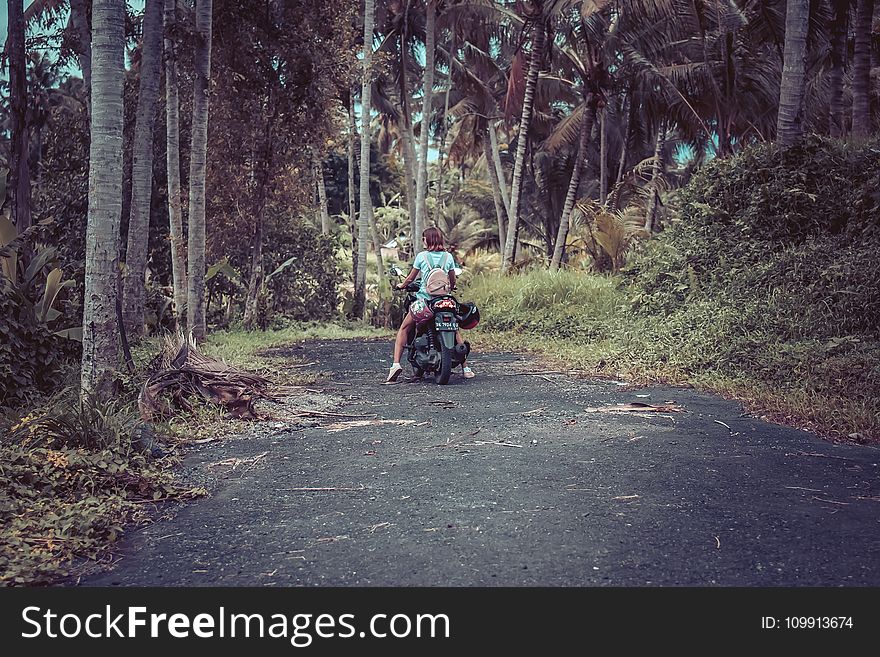 Woman Riding Motor Scooter Near Coconut Trees