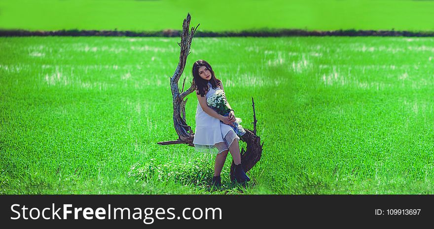 Woman in White Sleeveless Mini Dress Holding White Petaled Bouquet Sitting on Gray Tree Branch at Daytime