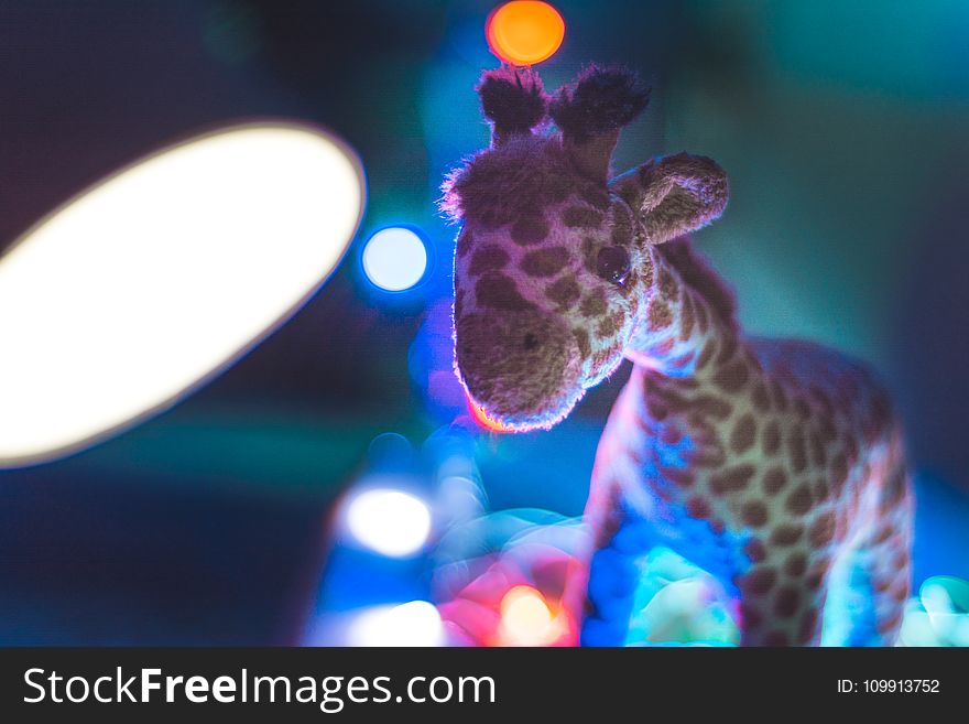 Giraffe Plush Toy Close Up Photo