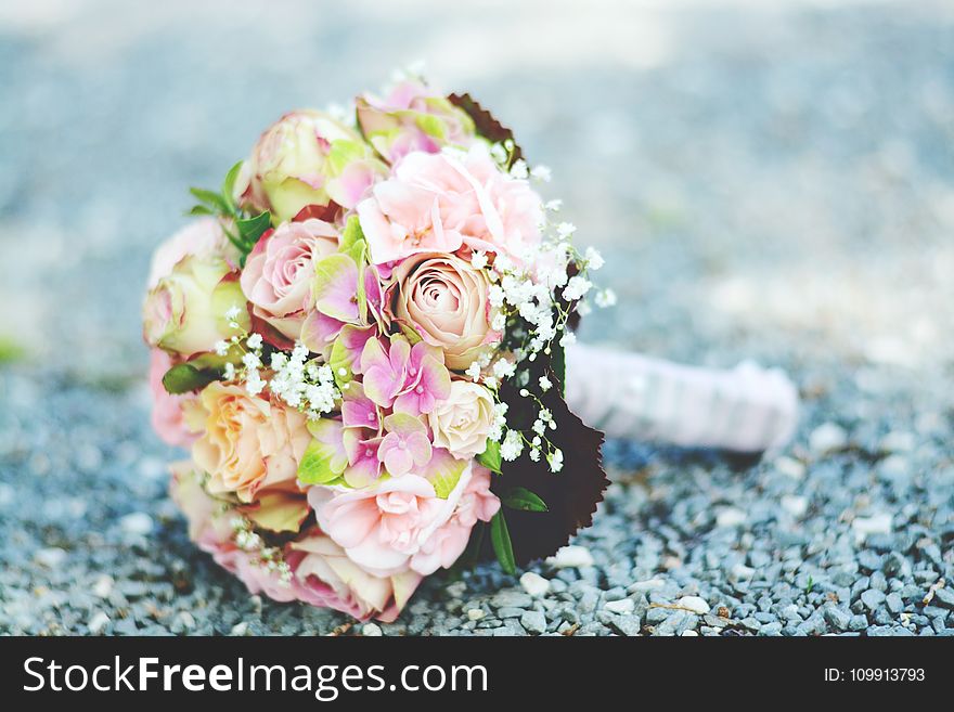 Bouquet of Pink-and-white Petaled Flowers