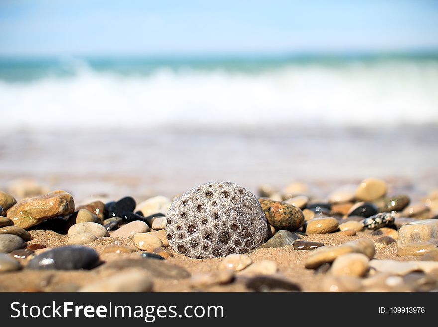 Gray and Brown Pebbles Near Sea