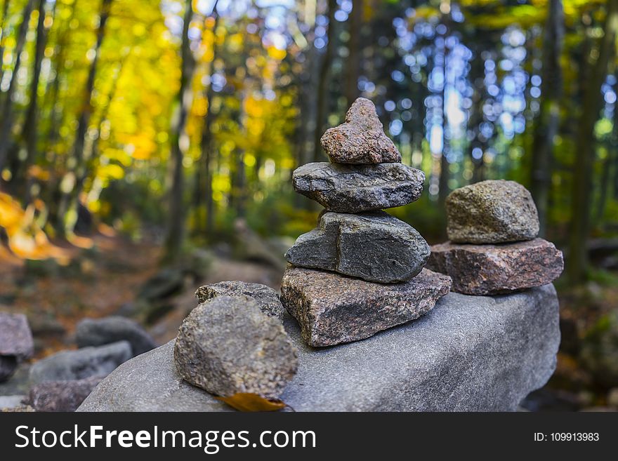 Gray Pile of Stones Near Trees