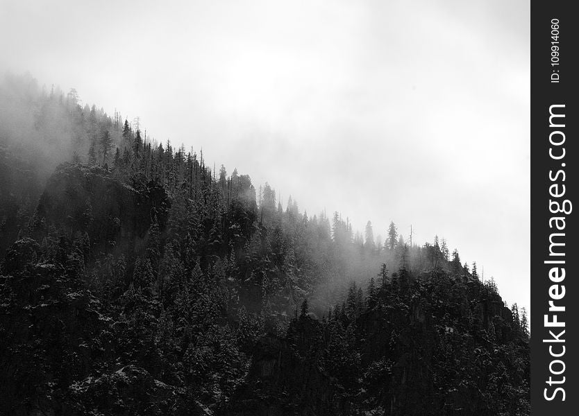 Aerial Photo of Foggy Black and White Mountain