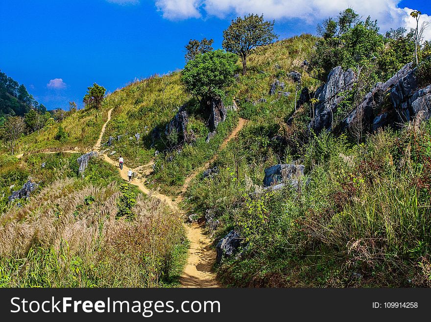 Green Grass Filled Hill Under Blue Sky