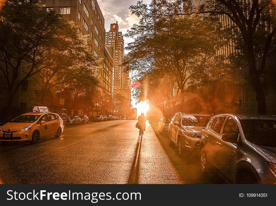 Buildings Surrounded By Trees