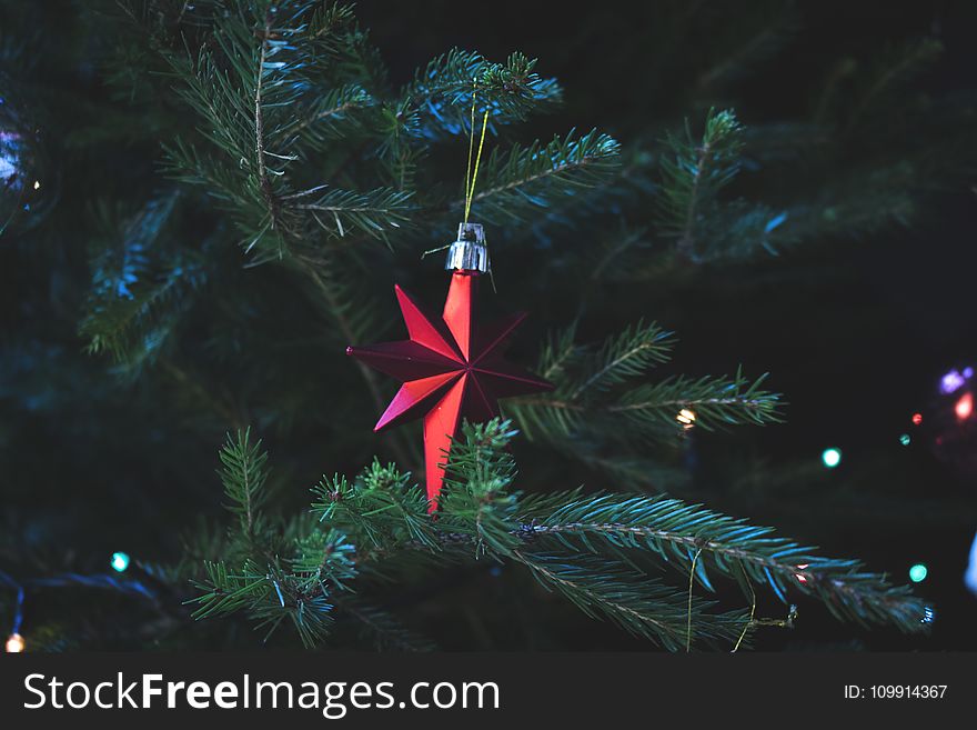 Photo of Red Christmas Tree Decor