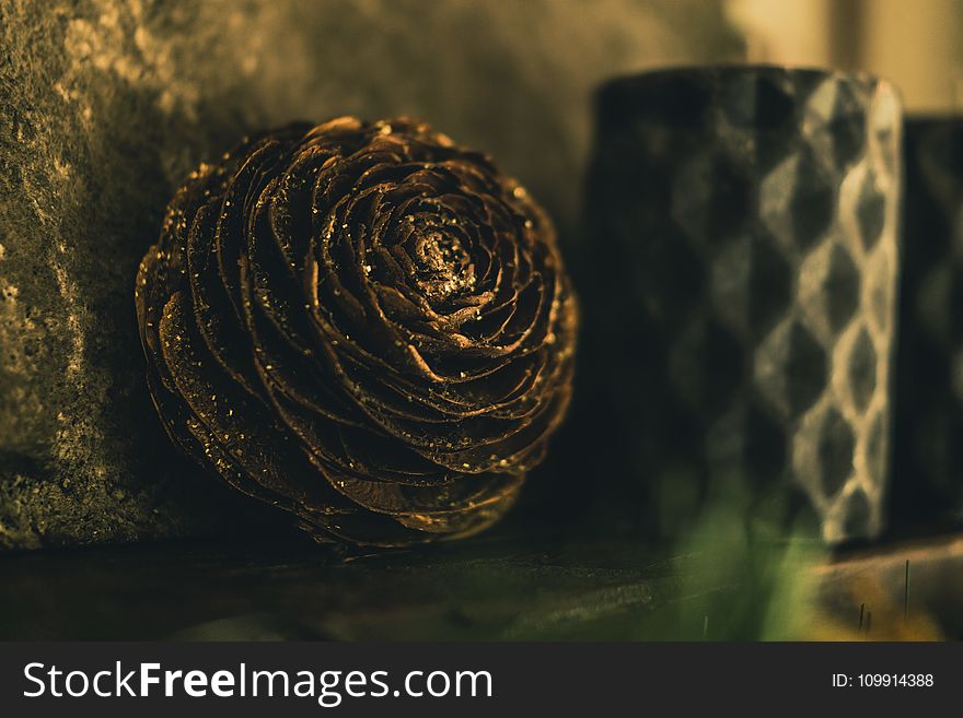 Close-up Photography Of Golden Pine Cone