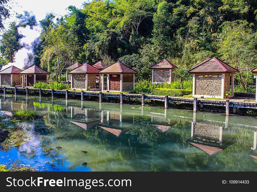Kiosks Near Calm Body of Water Surrounded by Tall Trees at Daytime