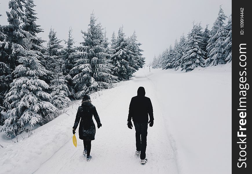 Photograph of Two Persons in the Middle of the Road on a Snowy Setting