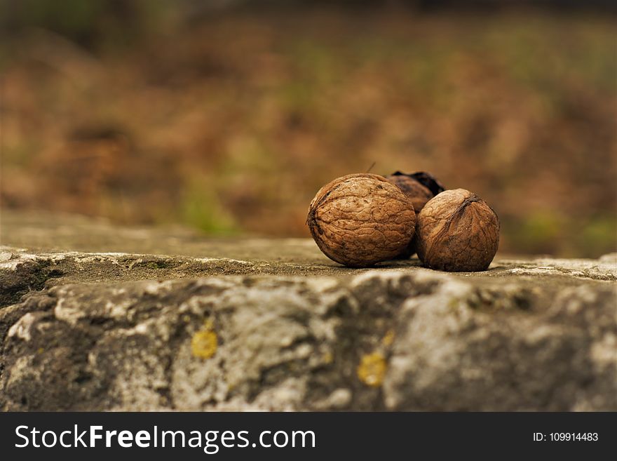 Close-Up Photography Of Nuts On Ground