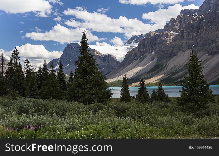 Scenic View at the Banff National Park