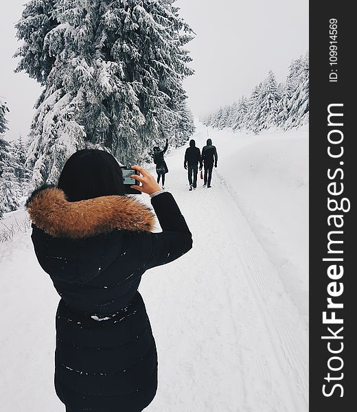 Woman In Black Coat Taking A Picture Of Three Person In Front Of Her While Walking Through Snow Field