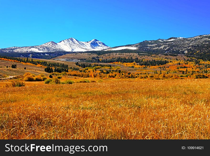 White Snow Mountain Near Grass Field