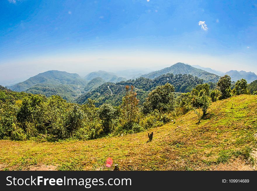 Landscape Photo of Tall Trees on Mountains at Daytime