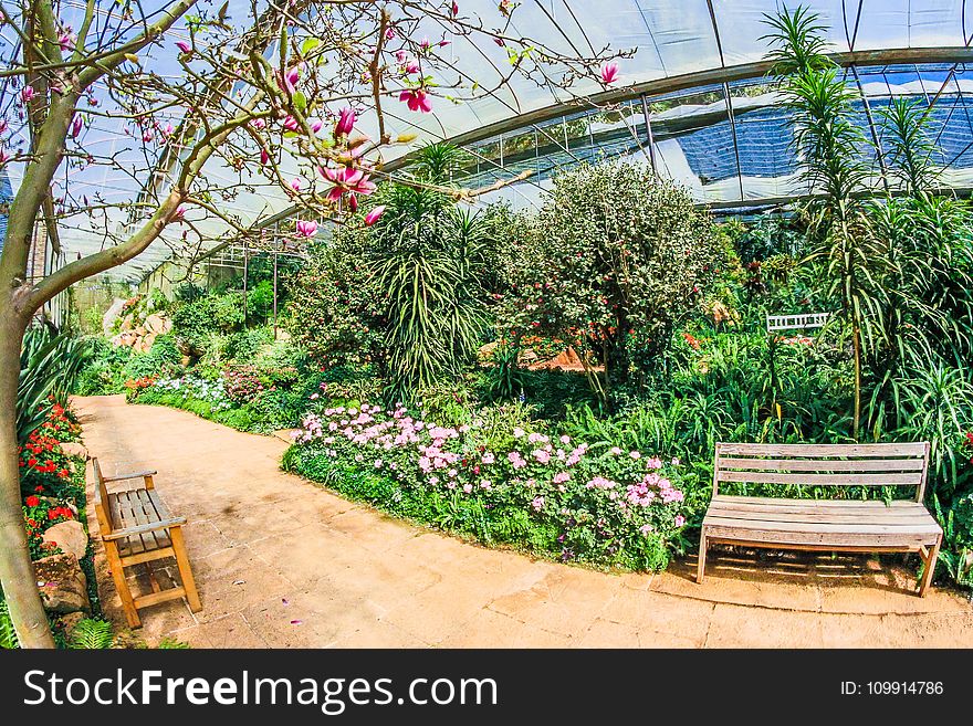 Bench Surrounded With Green Plants