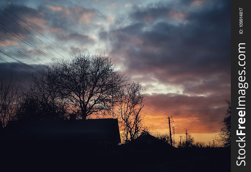 Silhouette Photo Of Bare Trees During Golden Hour