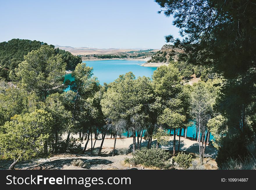 Green Trees With Blue Water Under The Blu Sky