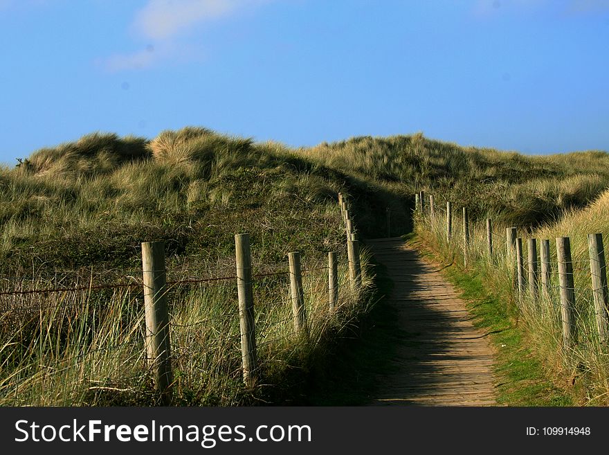 Photography Of Grass Field